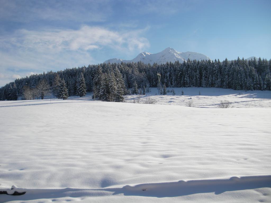 Haus Hubertus Daire Hochfilzen Dış mekan fotoğraf