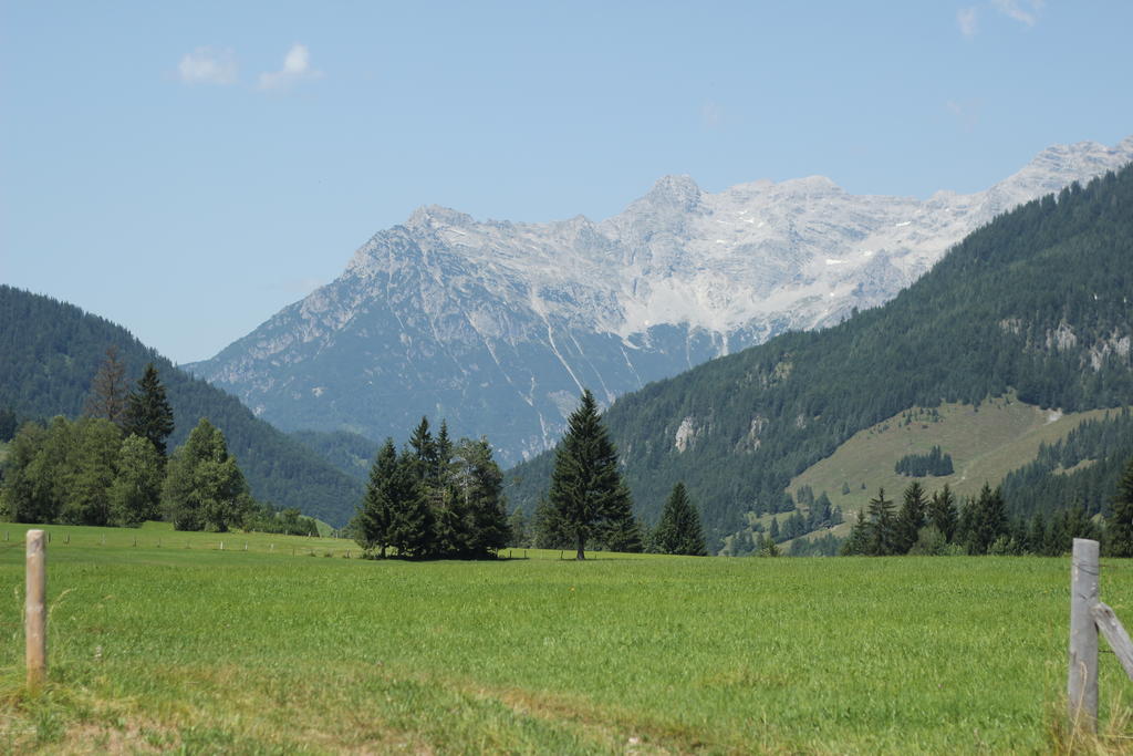 Haus Hubertus Daire Hochfilzen Dış mekan fotoğraf